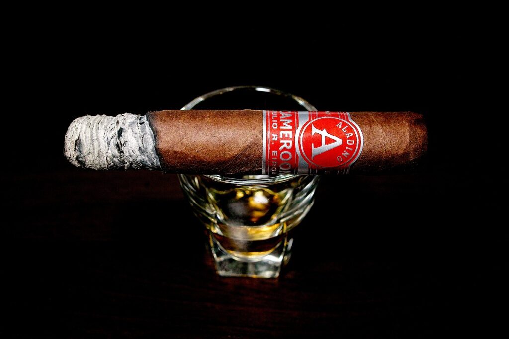 アラディーノ カメルーン ロブスト/Aladino Cameroon Robusto Cigar Review|葉巻/シガー初心者の喫煙レビューブログ|喫煙序盤の終わり頃ファーストサード