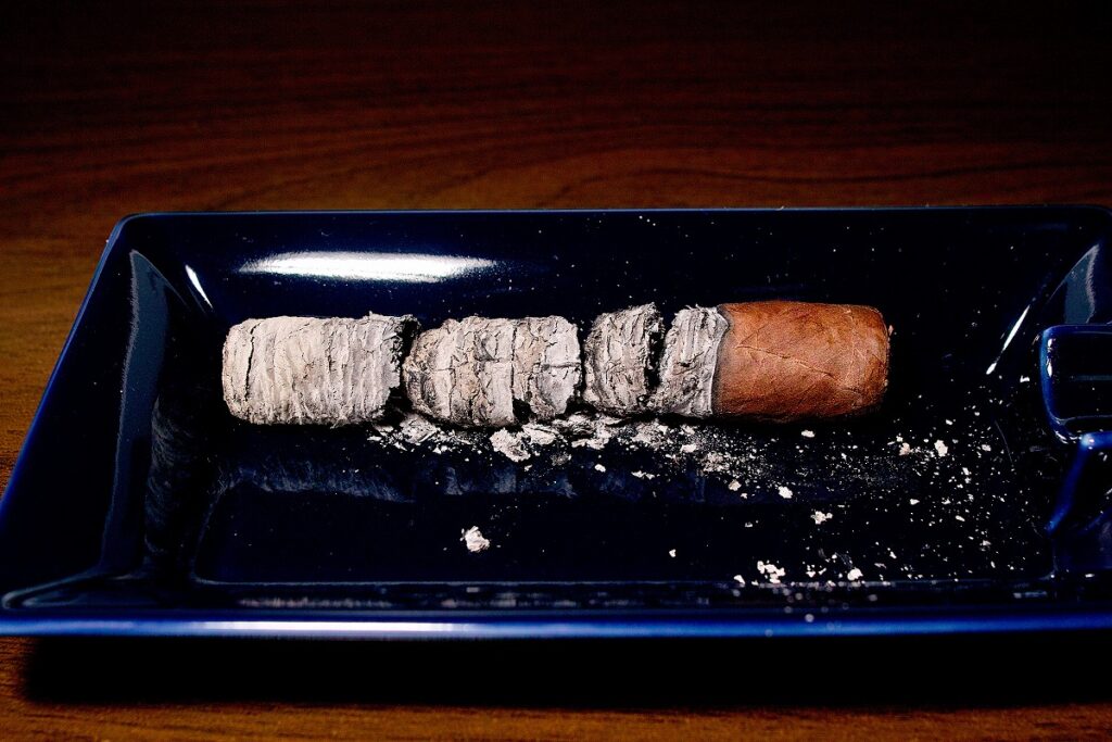 アラディーノ カメルーン ロブスト/Aladino Cameroon Robusto Cigar Review|葉巻/シガー初心者の喫煙レビューブログ|喫煙終了後ファイナルアッシュ
