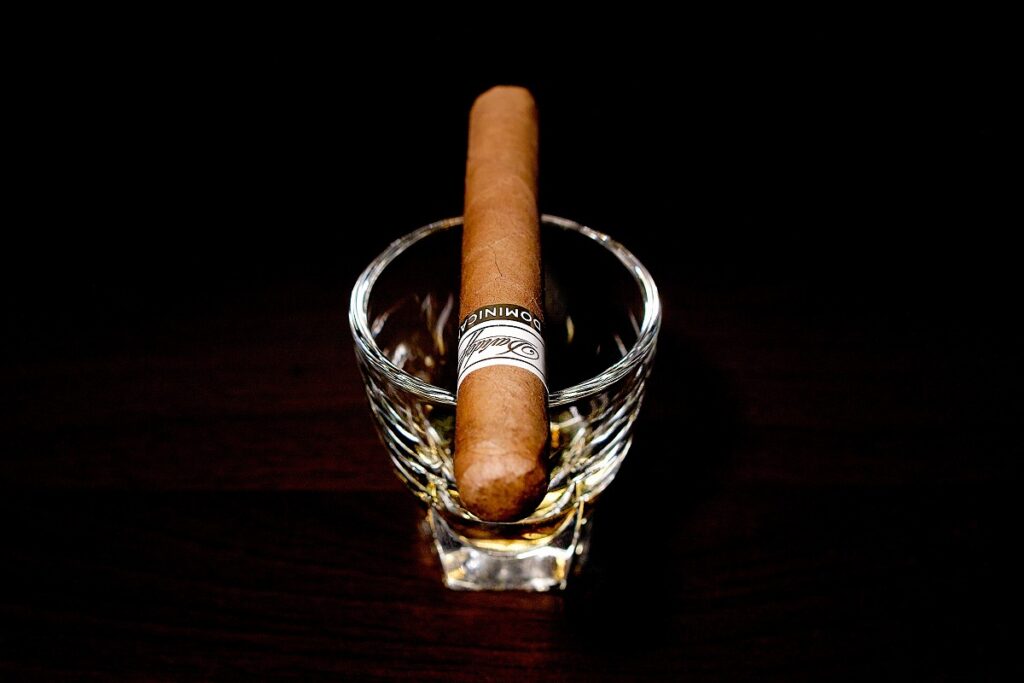 ダビドフ プリメロス ドミニカン/Davidoff Primeros Dominican Cigar Review｜葉巻/シガー初心者の喫煙レビューブログ｜ギャラリー4