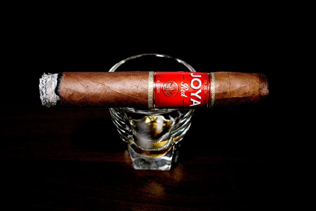 ホヤ・デ・ニカラグア レッド ショートチャーチル/Joya de Nicaragua Red Short Churchill Cigar Review｜葉巻/シガー初心者の喫煙レビューブログ｜喫煙序盤ファーストサード