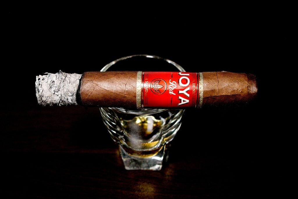 ホヤ・デ・ニカラグア レッド ショートチャーチル/Joya de Nicaragua Red Short Churchill Cigar Review｜葉巻/シガー初心者の喫煙レビューブログ｜喫煙序盤の終わり頃ファーストサード