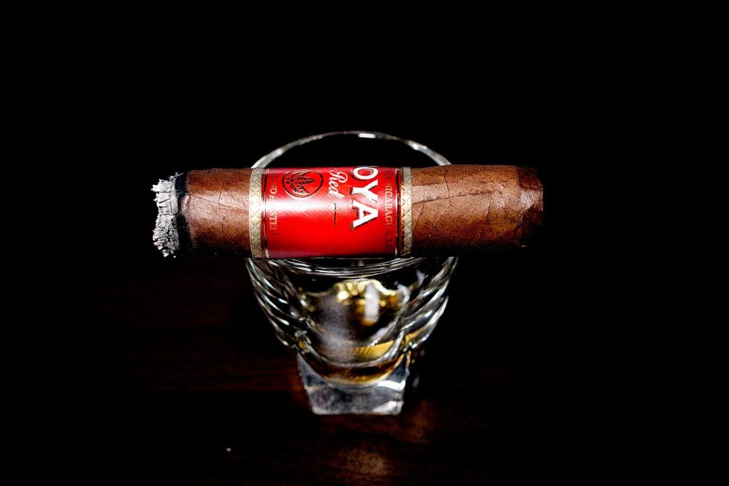 ホヤ・デ・ニカラグア レッド ショートチャーチル/Joya de Nicaragua Red Short Churchill Cigar Review｜葉巻/シガー初心者の喫煙レビューブログ｜喫煙中盤セカンドサード