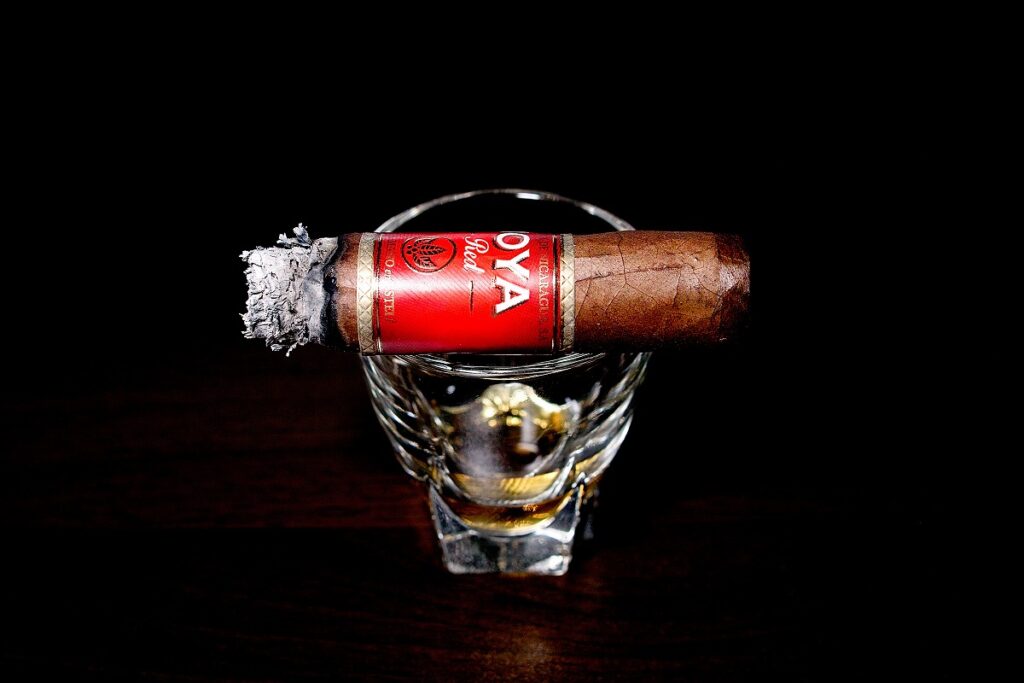 ホヤ・デ・ニカラグア レッド ショートチャーチル/Joya de Nicaragua Red Short Churchill Cigar Review｜葉巻/シガー初心者の喫煙レビューブログ｜喫煙終盤ファイナルサード