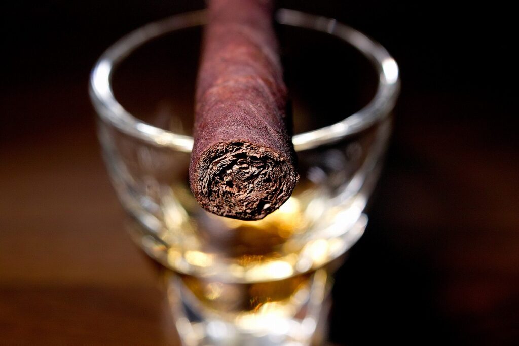 ダビドフ プリメロス ニカラグア マデューロ/Davidoff Primeros Nicaragua Maduro Cigar Review｜葉巻/シガー初心者の喫煙レビューブログ｜ギャラリー5