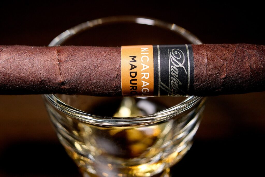 ダビドフ プリメロス ニカラグア マデューロ/Davidoff Primeros Nicaragua Maduro Cigar Review｜葉巻/シガー初心者の喫煙レビューブログ｜ギャラリー6