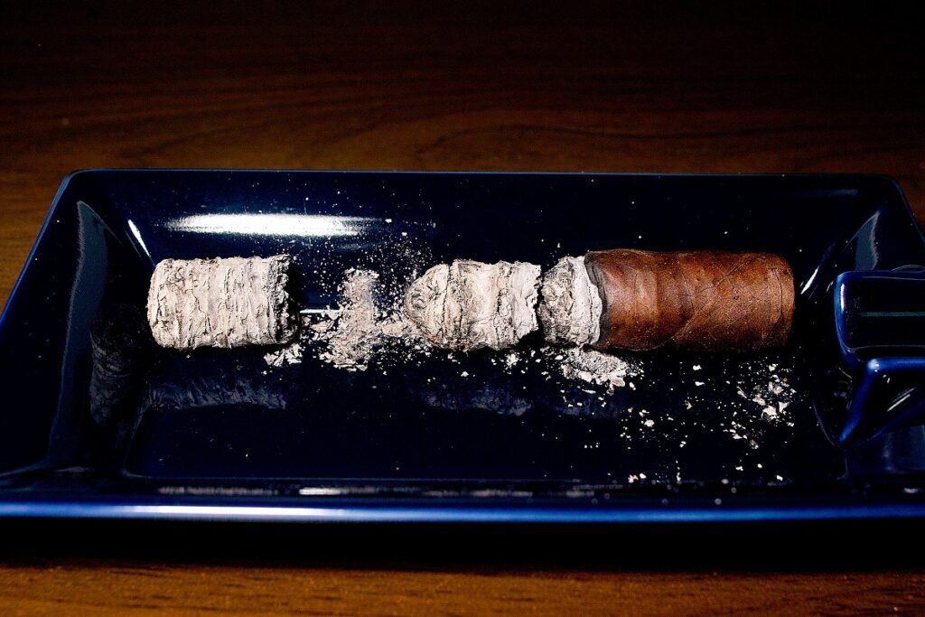 ロッキーパテル ヴィンテージ 1990 ロブスト/Rocky Patel Vintage 1990 Broadleaf Robusto Cigar Review｜葉巻/シガー初心者の喫煙レビューブログ｜喫煙終了後ファイナルアッシュ