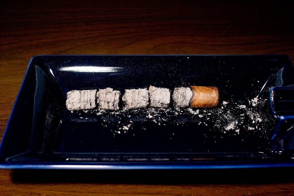 ダビドフ プリメロス ドミニカン/Davidoff Primeros Dominican Cigar Review|葉巻/シガー初心者の喫煙レビューブログ|喫煙終了後ファイナルアッシュ