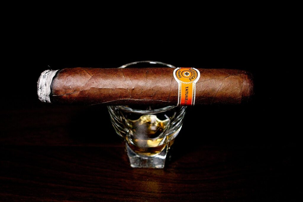 タトゥアヘ ヌエビタス ヒバロ No.1/Tatuaje Nuevitas Jibaro No.1 Cigar Review|葉巻/シガー初心者の喫煙レビューブログ|喫煙序盤ファーストサード