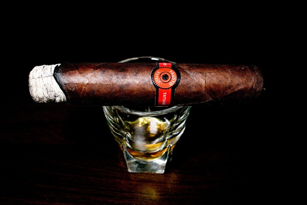 タトゥアヘ ファウスト FT127/Tatuaje Fausto FT127 Cigar Review|葉巻/シガー初心者の喫煙レビューブログ|喫煙序盤ファーストサード