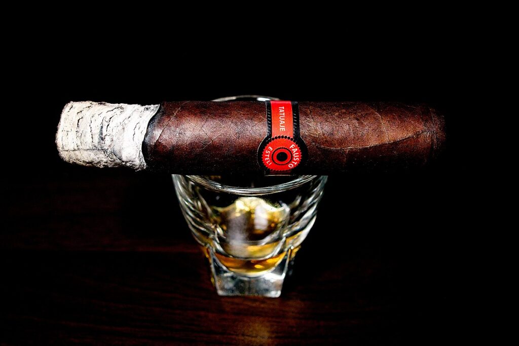 タトゥアヘ ファウスト FT127/Tatuaje Fausto FT127 Cigar Review|葉巻/シガー初心者の喫煙レビューブログ|喫煙序盤の終わり頃ファーストサード