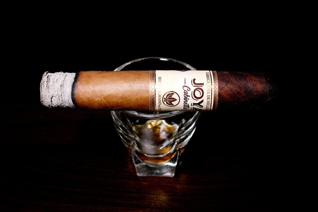 ホヤ・デ・ニカラグア キャビネッタ ロブスト/Joya de Nicaragua Cabinetta Robusto Cigar Review｜葉巻/シガー初心者の喫煙レビューブログ｜喫煙序盤ファーストサード