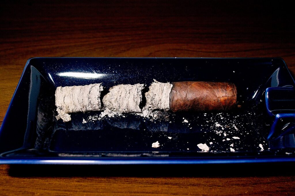 ホヤ・デ・ニカラグア キャビネッタ ロブスト/Joya de Nicaragua Cabinetta Robusto Cigar Review｜葉巻/シガー初心者の喫煙レビューブログ｜喫煙終了後ファイナルアッシュ