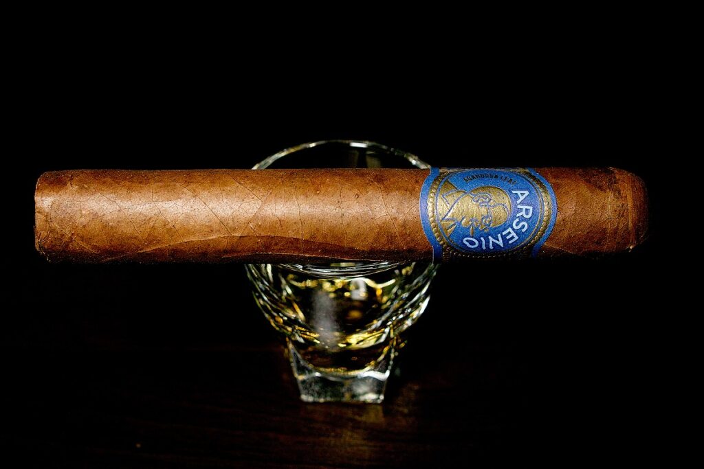 アガノルサリーフ アルセニオ ロブスト/Aganorsa Leaf Arsenio Robusto Cigar Review|葉巻/シガー初心者の喫煙レビューブログ|ギャラリー1