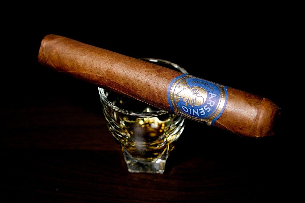 アガノルサリーフ アルセニオ ロブスト/Aganorsa Leaf Arsenio Robusto Cigar Review｜葉巻/シガー初心者の喫煙レビューブログ｜ギャラリー2
