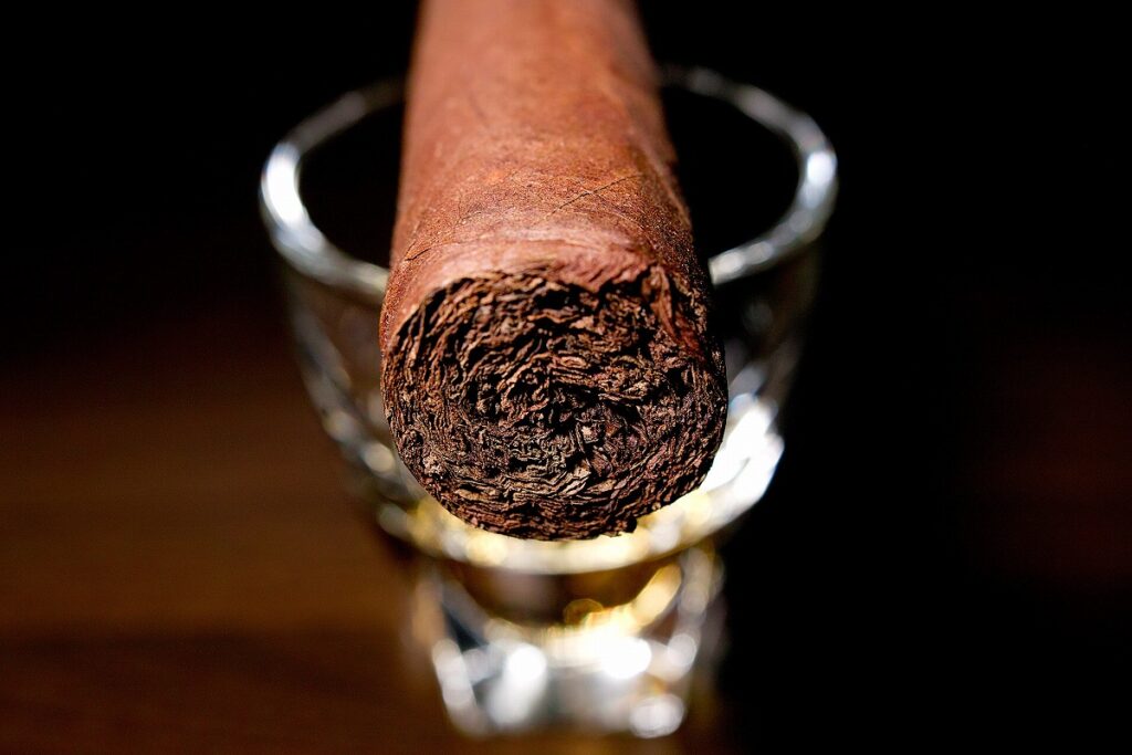 アガノルサリーフ アルセニオ ロブスト/Aganorsa Leaf Arsenio Robusto Cigar Review｜葉巻/シガー初心者の喫煙レビューブログ｜ギャラリー5