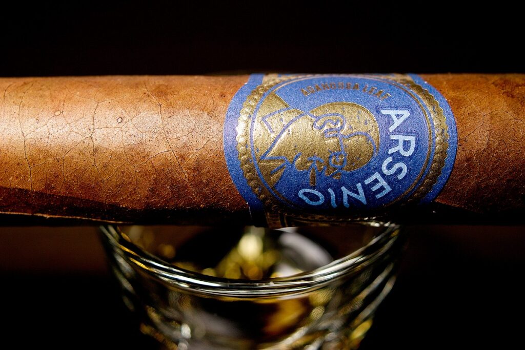アガノルサリーフ アルセニオ ロブスト/Aganorsa Leaf Arsenio Robusto Cigar Review｜葉巻/シガー初心者の喫煙レビューブログ｜ギャラリー6