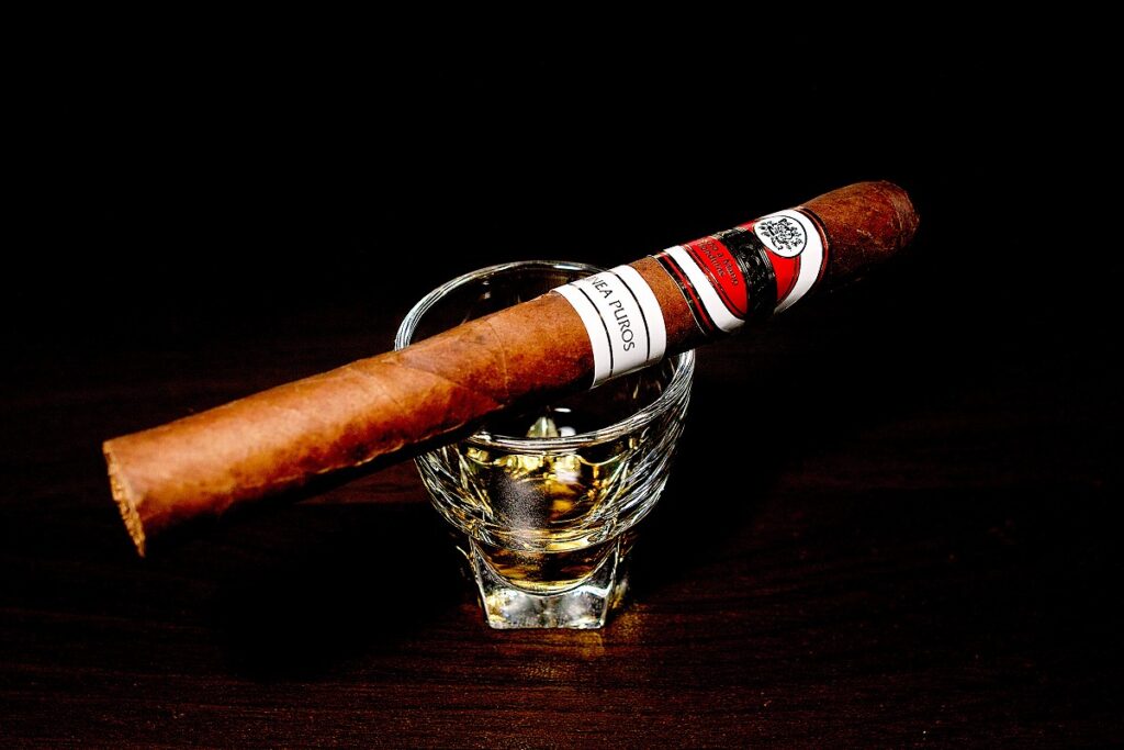 フロール・デ・コパン リネアプロス コロナ/Flor de Copan Linea Puros Corona Cigar Review｜葉巻/シガー初心者の喫煙レビューブログ｜ギャラリー3