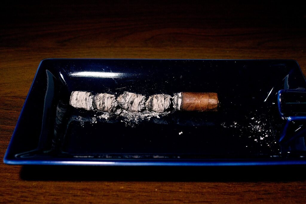 ダビドフ プリメロス ニカラグア マデューロ/Davidoff Primeros Nicaragua Maduro Cigar Review|葉巻/シガー初心者の喫煙レビューブログ|喫煙終了後ファイナルアッシュ