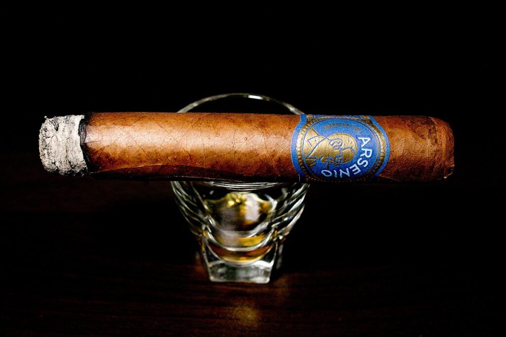 アガノルサリーフ アルセニオ ロブスト/Aganorsa Leaf Arsenio Robusto Cigar Review|葉巻/シガー初心者の喫煙レビューブログ|喫煙序盤ファーストサード