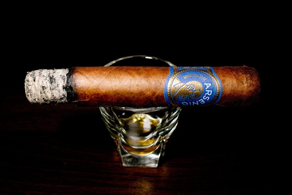 アガノルサリーフ アルセニオ ロブスト/Aganorsa Leaf Arsenio Robusto Cigar Review|葉巻/シガー初心者の喫煙レビューブログ|喫煙序盤の終わり頃ファーストサード