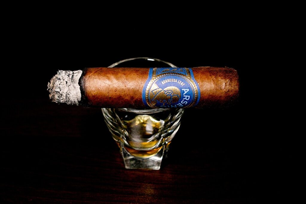 アガノルサリーフ アルセニオ ロブスト/Aganorsa Leaf Arsenio Robusto Cigar Review|葉巻/シガー初心者の喫煙レビューブログ|喫煙中盤セカンドサード