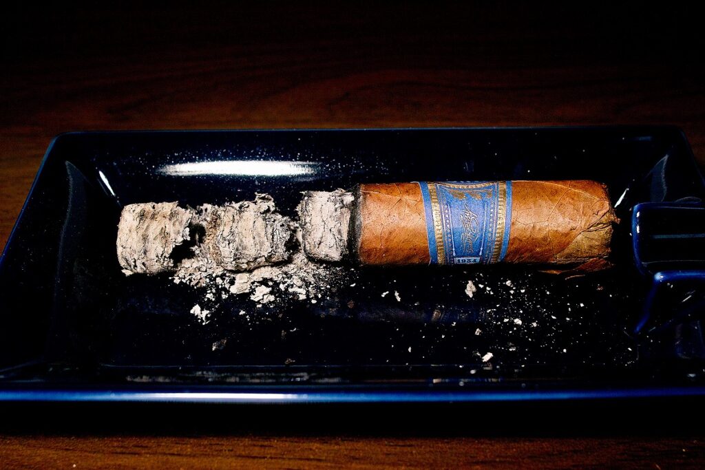 アガノルサリーフ アルセニオ ロブスト/Aganorsa Leaf Arsenio Robusto Cigar Review|葉巻/シガー初心者の喫煙レビューブログ|喫煙終了後ファイナルサード