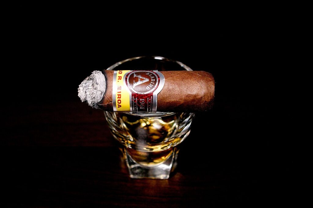 アラディーノ コロホ ロブスト/Aladino Corojo Robusto Cigar Review|葉巻/シガー初心者の喫煙レビューブログ|喫煙終盤ファイナルサード