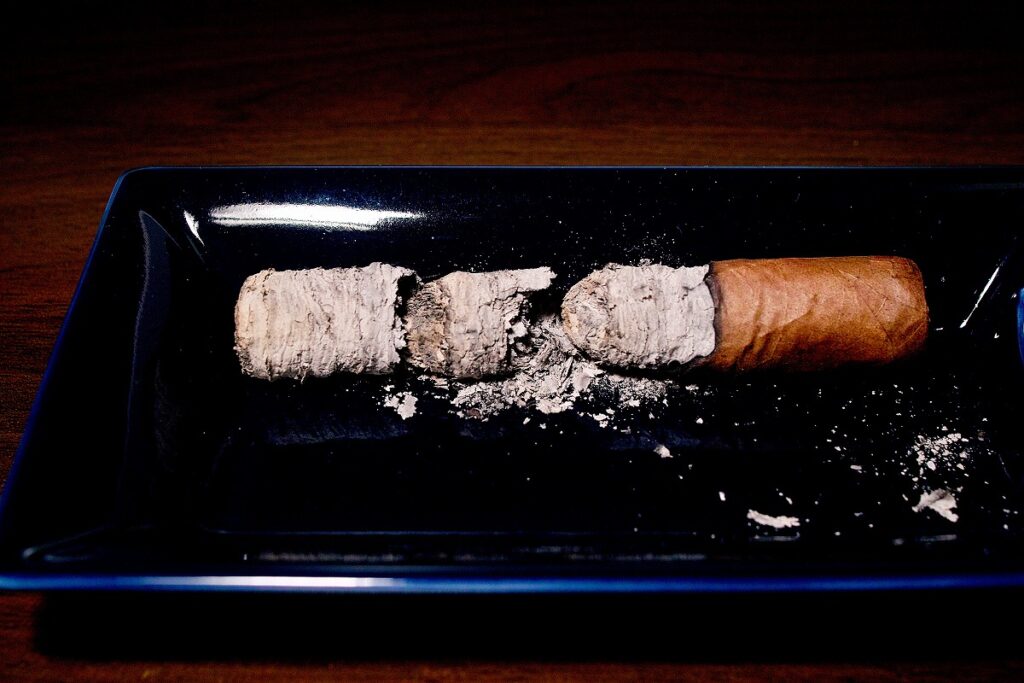 アラディーノ コロホ ロブスト/Aladino Corojo Robusto Cigar Review|葉巻/シガー初心者の喫煙レビューブログ|喫煙終了後ファイナルアッシュ