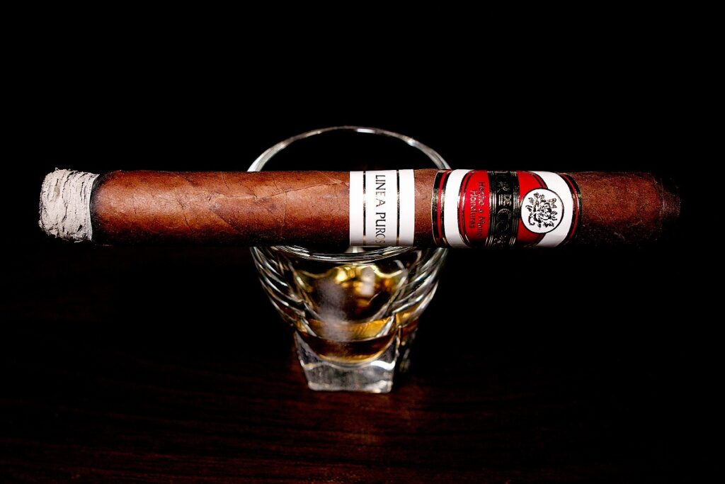 フロール・デ・コパン リネアプロス コロナ/Flor de Copan Linea Puros Corona Cigar Review|葉巻/シガー初心者の喫煙レビューブログ|喫煙序盤ファーストサード