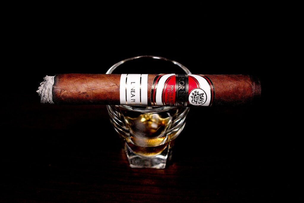 フロール・デ・コパン リネアプロス コロナ/Flor de Copan Linea Puros Corona Cigar Review|葉巻/シガー初心者の喫煙レビューブログ|喫煙序盤の終わり頃ファーストサード