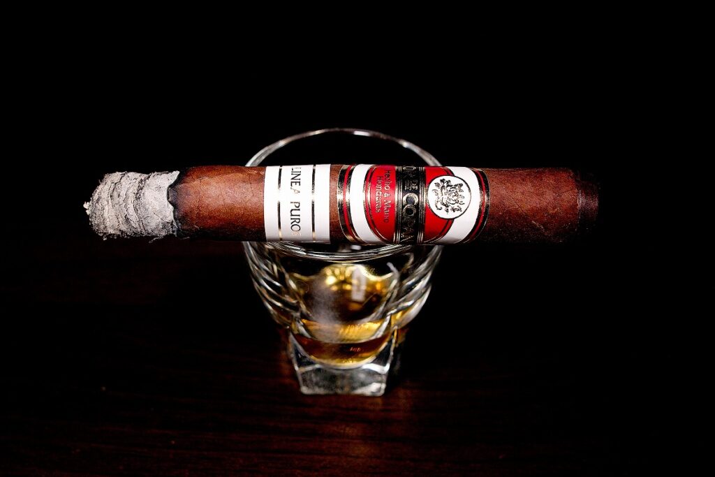 フロール・デ・コパン リネアプロス コロナ/Flor de Copan Linea Puros Corona Cigar Review|葉巻/シガー初心者の喫煙レビューブログ|喫煙中盤セカンドサード