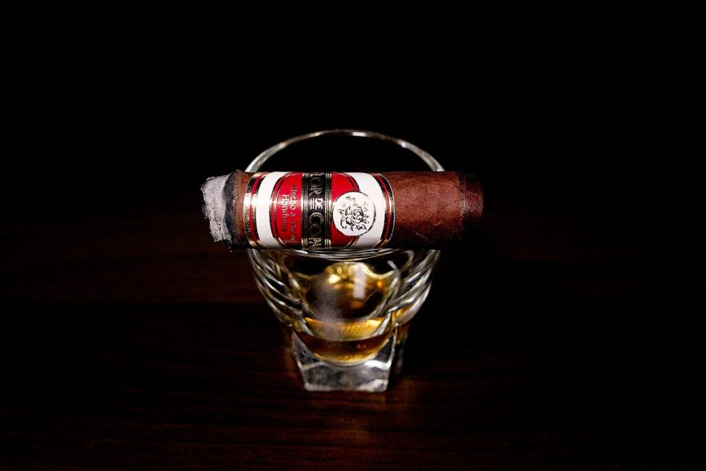 フロール・デ・コパン リネアプロス コロナ/Flor de Copan Linea Puros Corona Cigar Review|葉巻/シガー初心者の喫煙レビューブログ|喫煙終盤ファイナルサード