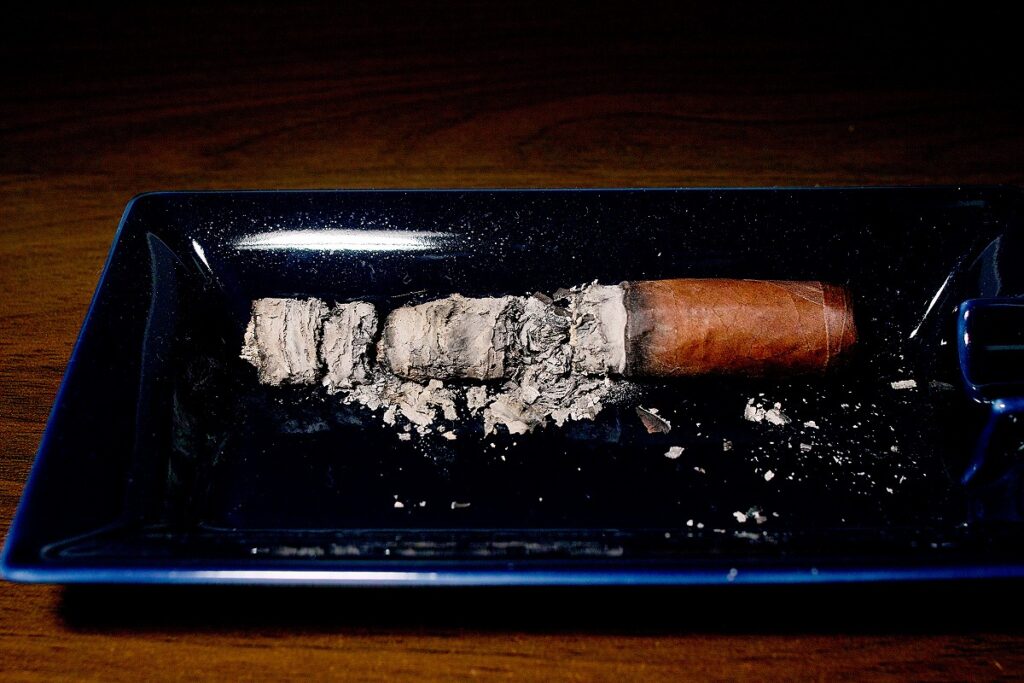 フロール・デ・コパン リネアプロス コロナ/Flor de Copan Linea Puros Corona Cigar Review|葉巻/シガー初心者の喫煙レビューブログ|喫煙終了後ファイナルアッシュ