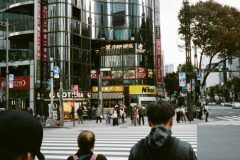 8【ネガフィルム実写レビュー】ネガフィルムとポジフィルムの写りの違いを検証！「NikonミニAF600QD」にて